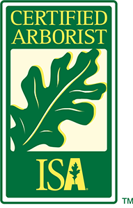 ISA Certified Arborists On Staff