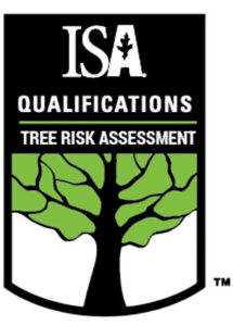 TRAQ Certified Arborists On Staff