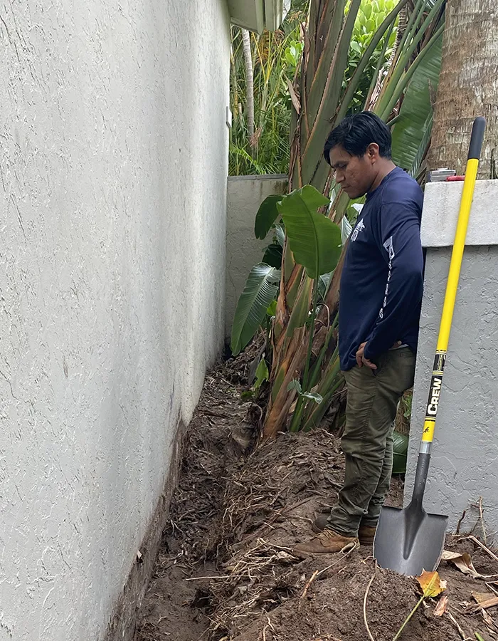 Invasive Plant Removal Service In Jupiter FL