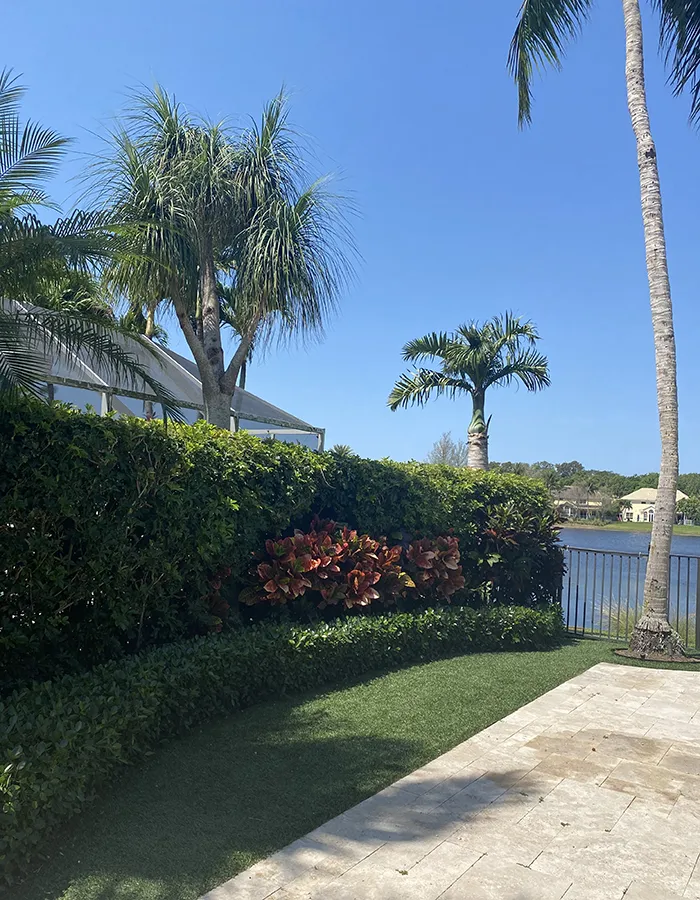 Plant Health Care Service Jupiter FL