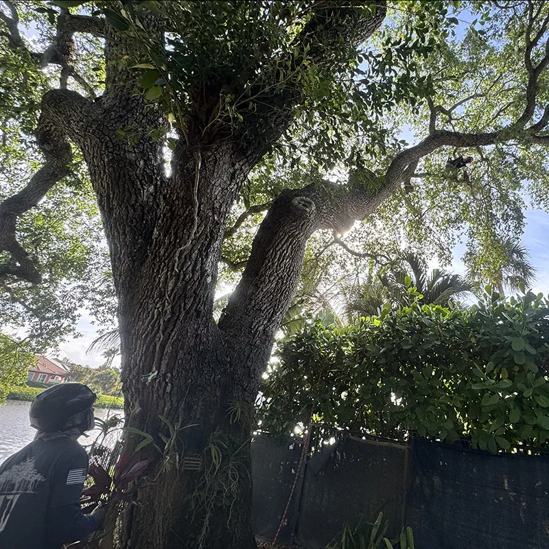 Structural Pruning In Action