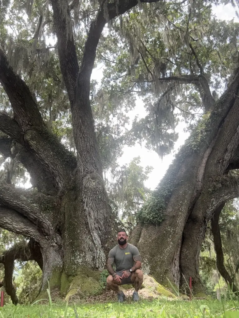 Arborist Consultation Service In Florida